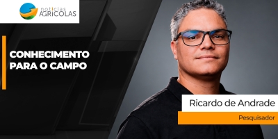 Ecofisiologia do Algodoeiro aproxima ciência do manejo para elevar o potencial da cultura