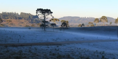 Frio avança pelo Sul e aumenta risco de geada em áreas dos três estados