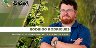 Clima irregular no Rio Grande do Sul contribuiu para o aumento da pressão de percevejos