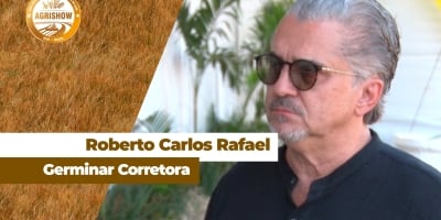 Mercado do milho está dominado por incertezas e volatilidade tende a se manter