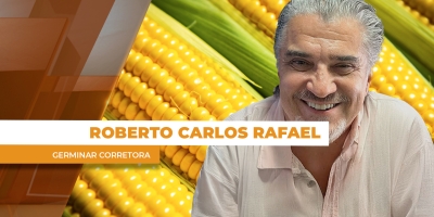 Mercado segue apreensivo com incertezas da guerra e cotações do milho refletem com alta volatilidade