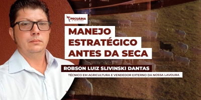 Ajuste de lotação, adubação e planejamento do pastejo preservam forragem e garantem ganho de peso dos animais na seca