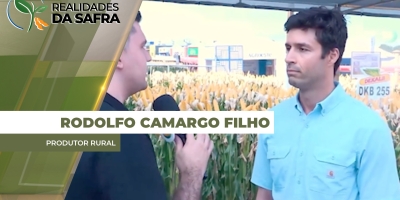 Colheita da soja começa na região de Cascavel/PR com projeção de altas produtividades