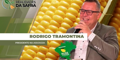 Região do Norte do Paraná passa por desafios climáticos que podem impactar na produtividade