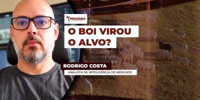 China, Europa e EUA: O que pode acontecer com a arroba?