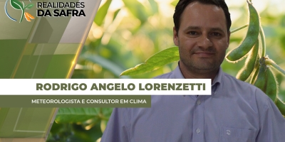 Colheita da soja começa com boas produtividades em Amambai/MS