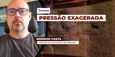 Queda na arroba já era esperada para o período, mas está sendo intensificada pelo fim das cotas chinesas