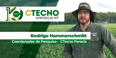 Comportamento das principais cultivares plantadas em MT em solos argilosos e arenosos