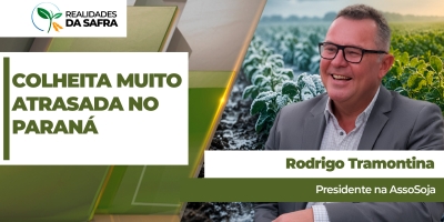 Norte do Paraná já deveria ter colhido metade da safra de milho, mas trabalhos ainda não começaram