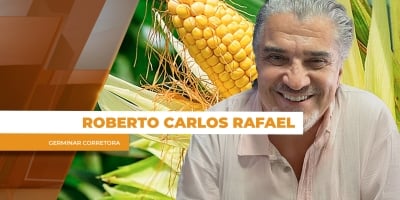 Câmbio depreciado e safrinha que ainda deve ser grande pressionam cotações do milho no Brasil