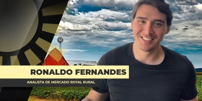 Reunião entre Trump e Xi foi "balde de água fria" para o mercado de soja
