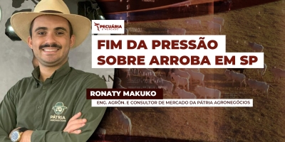 Fim da pressão sobre arroba do boi em SP deve acontecer em 10 dias com ajuste na oferta de animais, alerta analista