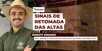 Escalas de abate recuam e reposição sobe, combustível para alta da arroba