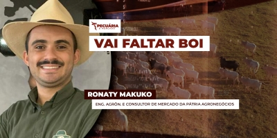 Vai faltar boi pronto para abate no Brasil entre agosto e setembro , alerta analista