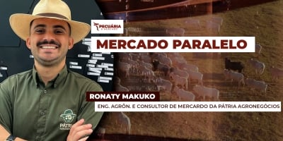 Movimento de alta para arroba do boi no primeiro trimestre é questão de tempo