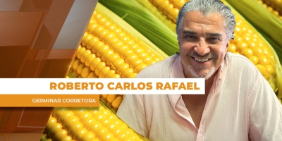 Foco do produtor na soja ajuda a reduzir oferta de milho e traz suporte para cotações no Brasil