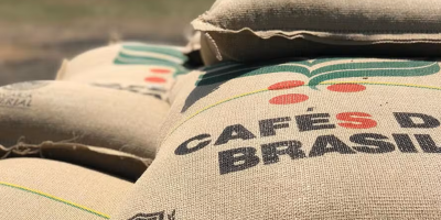 Média faturada de embarques de café não torrado apresenta baixa na 2ª semana de agosto/25