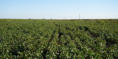Brasil é um dos países que mais utiliza bioinsumos no mundo