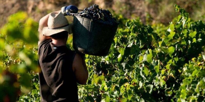 Safristas: FPA constrói solução para formalizar o trabalho temporário no campo