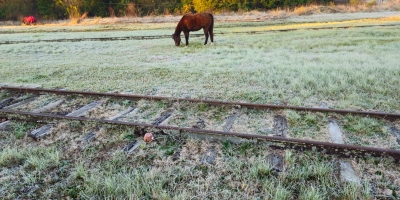 Frio avança sobre lavouras do Sul e mantém risco de geada nos próximos dias