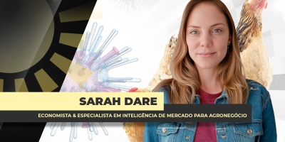 Minuto do Agro: Influenza Aviária avança pela América Latina e Caribe e coloca avicultura global em alerta