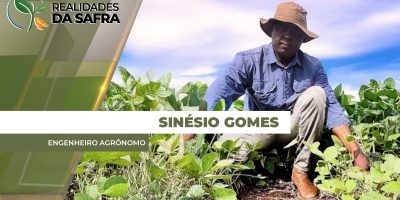 Colheita da soja avança em Espigão do Leste/MT com projeção de redução na produtividade