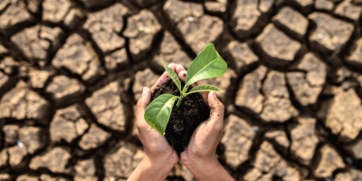 Resseguro ganha protagonismo no agro diante da escalada do risco climático e da pressão sobre o crédito rural