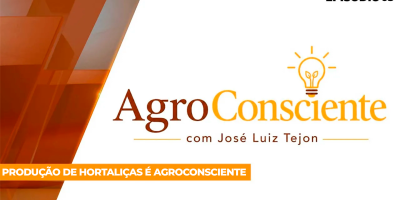 Produzir com sustentabilidade faz parte da rotina da cadeia de Frutas e Hortaliças  no Brasil