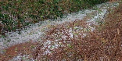 Prejuízo por chuva e granizo: o que o produtor deve fazer para comprovar perdas
