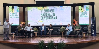 Olivoturismo deve ser oferecido a turistas como uma experiência