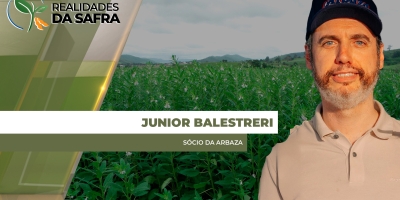 Colheita do gergelim avança com produtividades elevadas