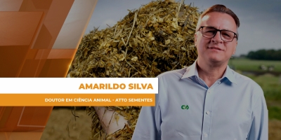 Silagem inteligente: como reduzir custo e risco na pecuária intensiva