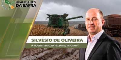 Chuva fora de época deixa a colheita do milho mais lenta em Tapurah/MT