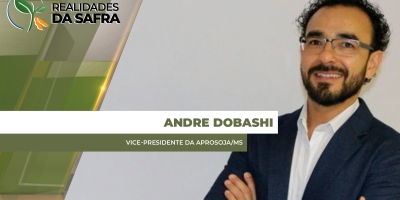 Com 42,7% da área colhida no Mato Grosso do Sul, ritmo de colheita no MS está quase 35 pontos percentuais inferior a 2024