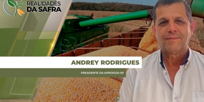 Colheita do milho avança em São Paulo com produtividades bastante variadas