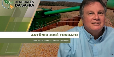 Clima frio atrasa secagem do milho e colheita da safrinha em Cândido Mota/SP
