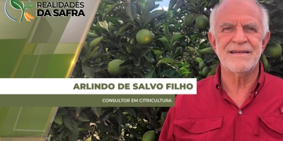Isenção da tarifa dos EUA para suco de laranja destravou o mercado brasileiro e negócios devem voltar a acontecer