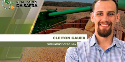Após início bem lento, colheita do milho começa a ganhar ritmo em Mato Grosso