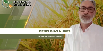 Preços abaixo dos custos traz preocupação para o setor arrozeiro