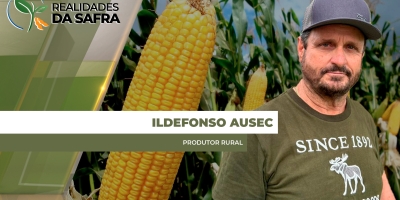 Colheita do milho começou em Doutor Camargo/PR e tem produtividades bastante variadas