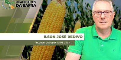 Sinop/MT perto de finalizar safra de milho com produtividades entre 120 e 125 sc/ha