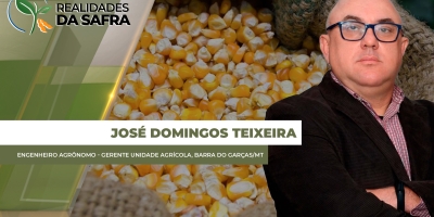 Barra do Garças/MT prestes a encerrar colheita do milho com bons resultados de produtividade