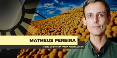 Soja disponível já registra alta média de R$ 7,00 por saca em três meses, trazendo fôlego às margens do produtor do Brasil