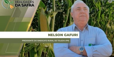 Safra de milho chega ao fim com produtividades variadas em Toledo/PR