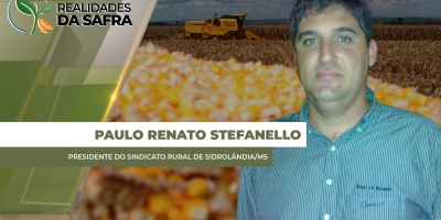 Com o avanço da colheita, preços do milho recuam até R$ 10,00/sc em Sidrolândia/MS