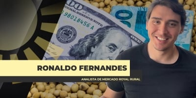 Soja: Declaração de Trump é forte e importante, porém, deve ter impacto apenas pontual no mercado