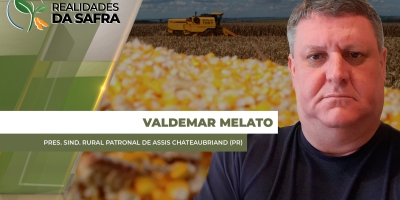 Clima melhora em julho e colheita do milho volta a avançar em Assis Chateaubriand/PR