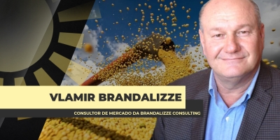 Competitividade dos produtos do agro do Brasil ficará ainda mais evidência com tarifas impostas pelos EUA, afirma Brandalizze