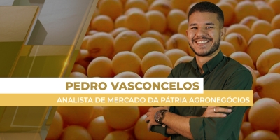 Mercado brasileiro da soja sente impacto mais forte das altas de Chicago nos prêmios, do que nos preços