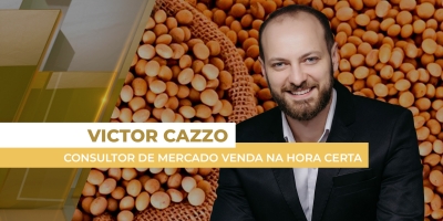 Soja tem semana mais lenta de novos negócios no Brasil, apesar de Chicago ainda acima dos US$ 11 por bushel